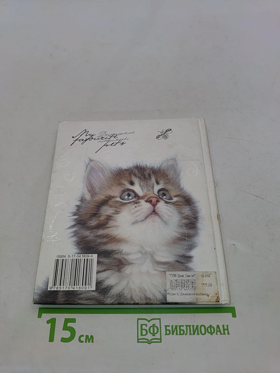 My favourite pets. Домашние любимцы