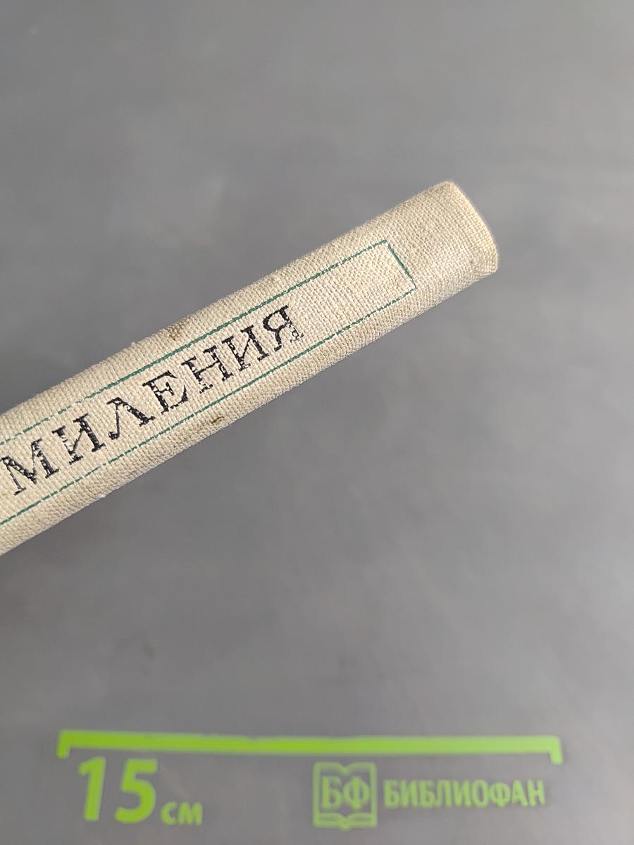 Цена умиления