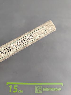 Цена умиления