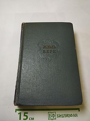 Собрание сочинений. Том 8: Черная Индия. Пятнадцатилетний капитан. Пятьсот миллионов бегумы