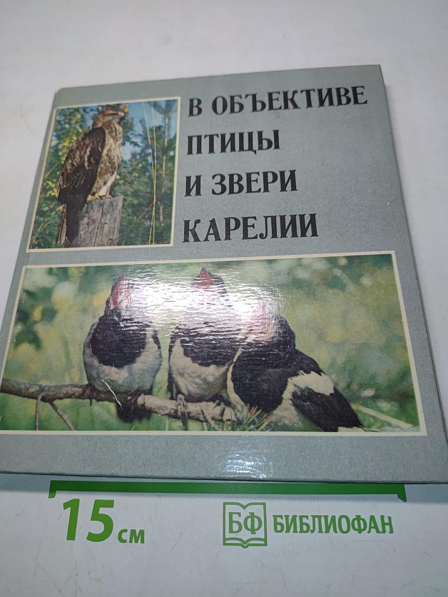 В объективе птицы и звери Карелии