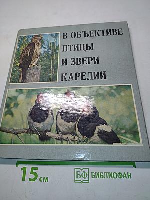 В объективе птицы и звери Карелии