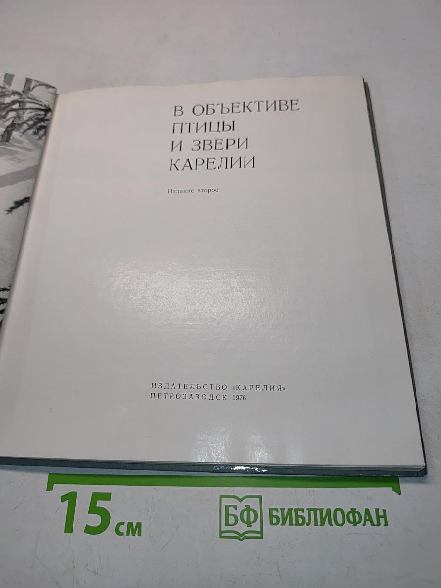 В объективе птицы и звери Карелии