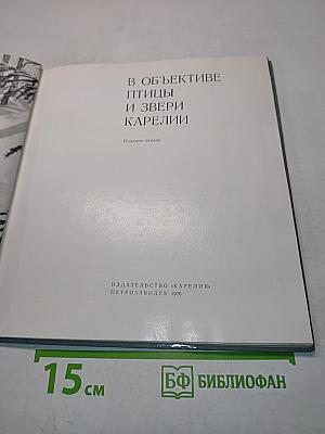 В объективе птицы и звери Карелии
