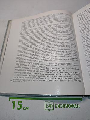 В объективе птицы и звери Карелии