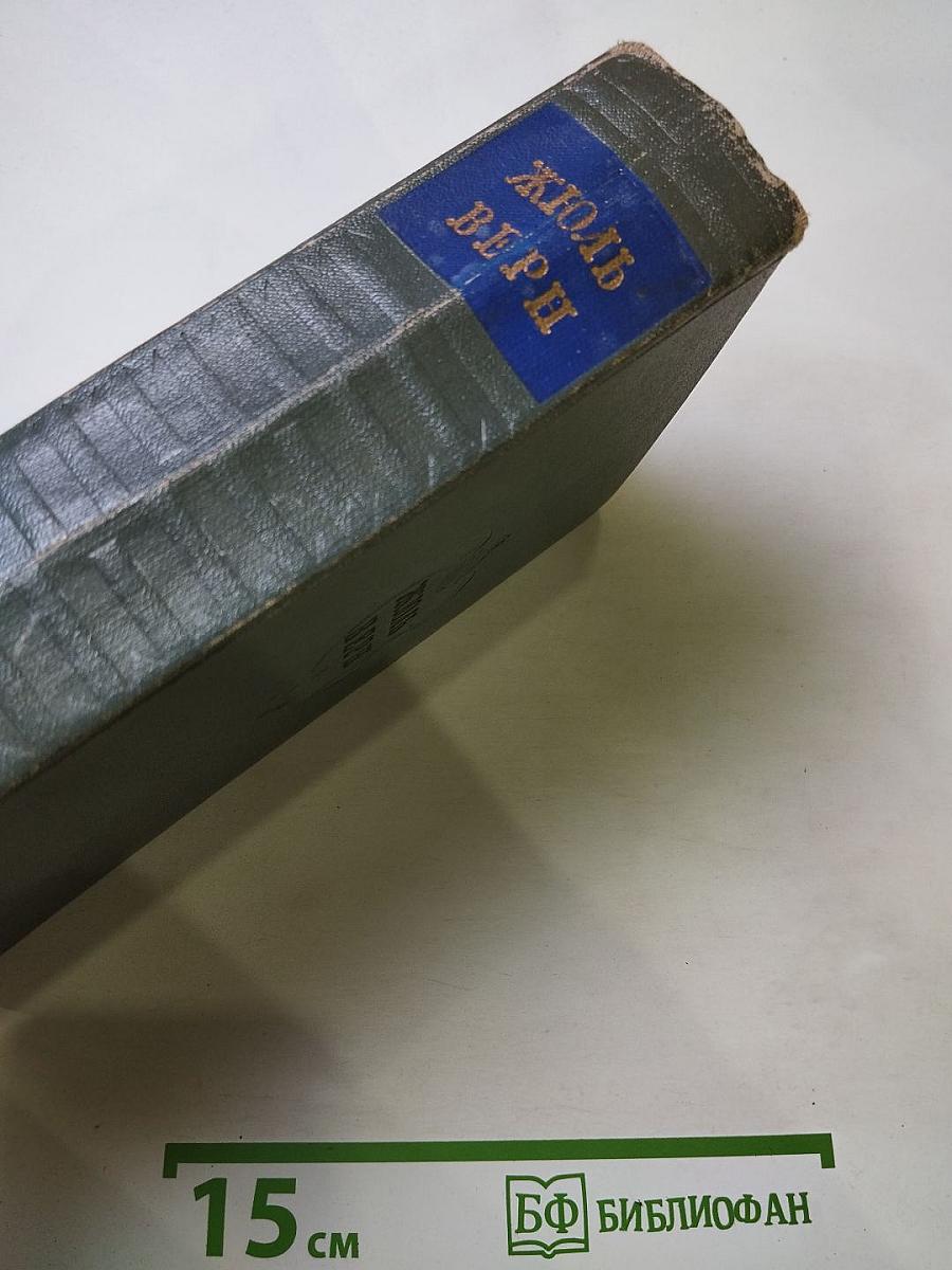 Собрание сочинений. Том 8: Черная Индия. Пятнадцатилетний капитан. Пятьсот миллионов бегумы