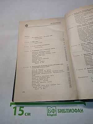 Приусадебная пасека