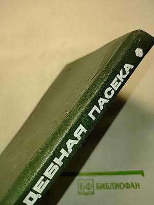 Приусадебная пасека