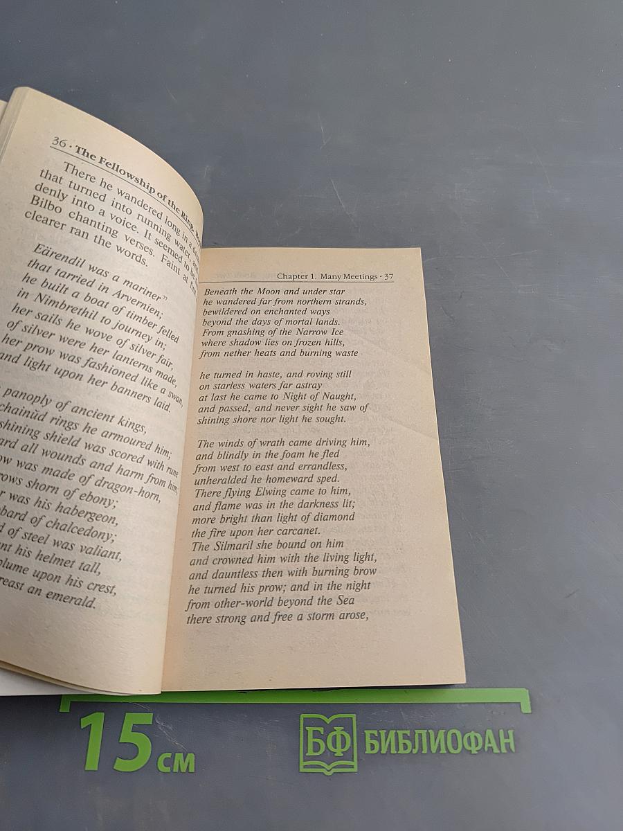 Властелин колец. Братство кольца. Книга 2. Том первый