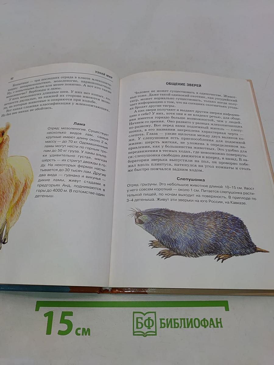 Млекопитающие. Школьный путеводитель