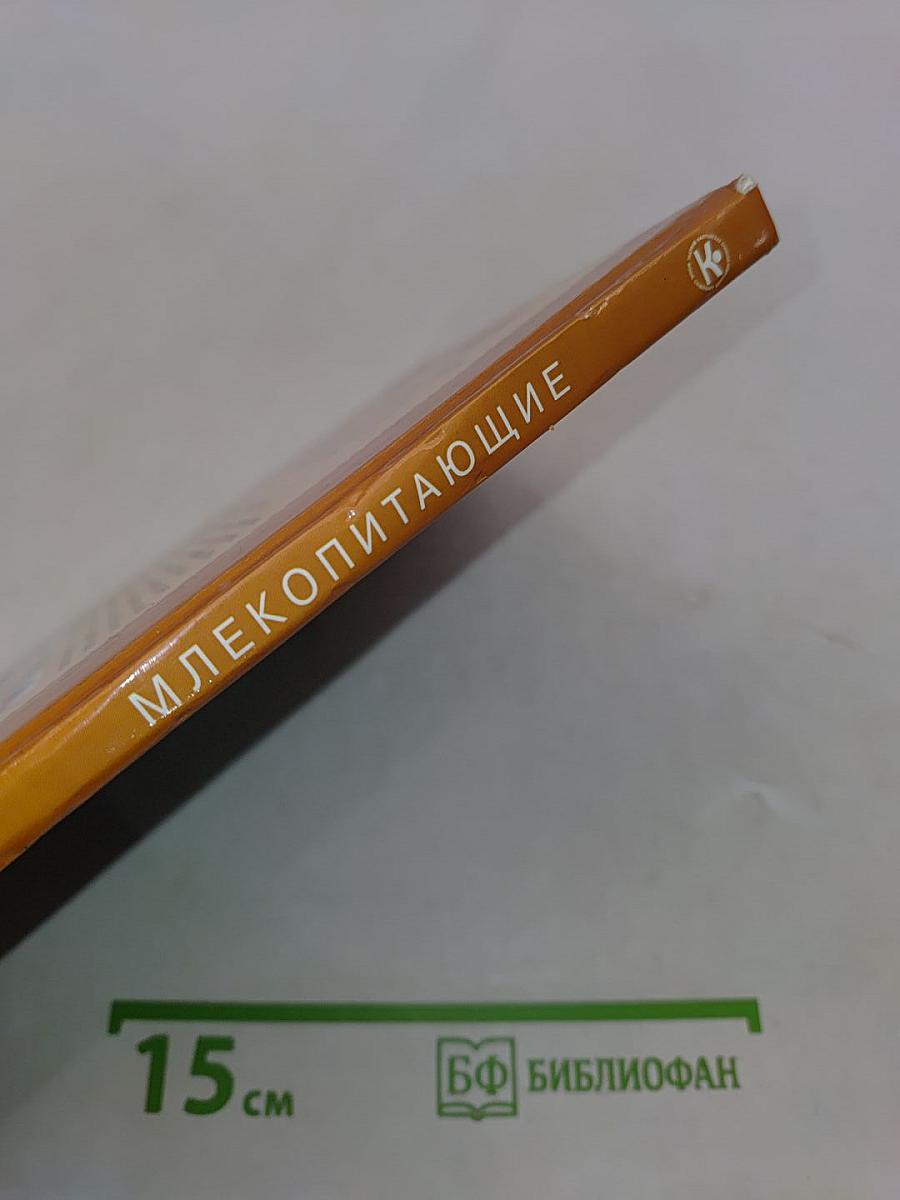 Млекопитающие. Школьный путеводитель