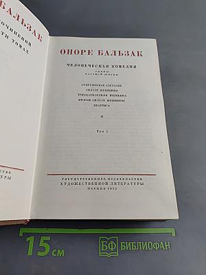 Человеческая комедия. Сцены частной жизни. Том 2