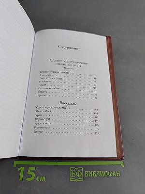 Одинокое путешествие накануне зимы