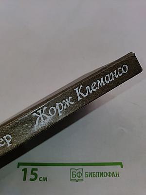 Жорж Клемансо. Политическая биография