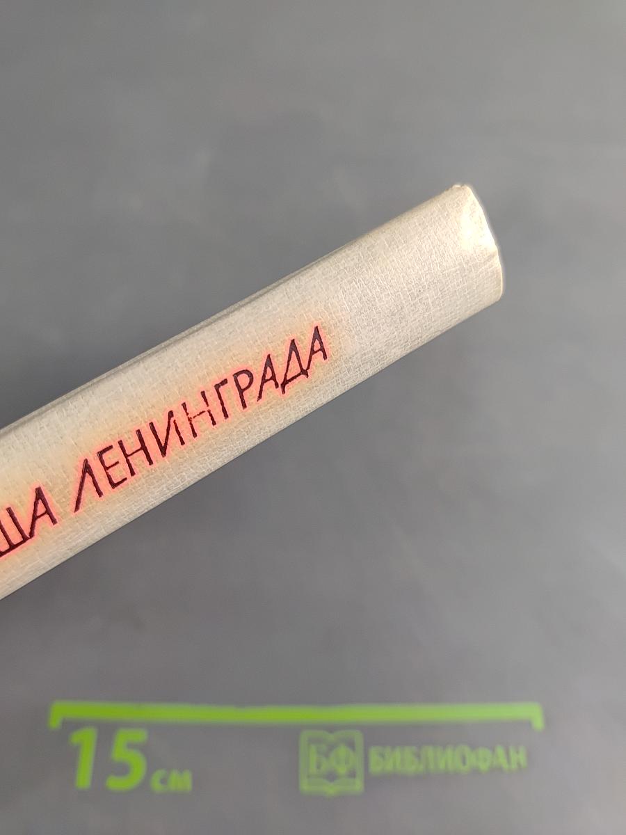 Душа Ленинграда (Избранное)