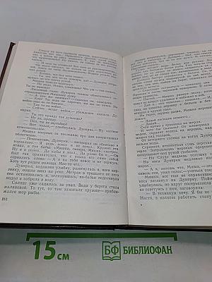 Пряслины