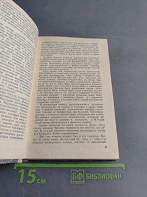 Мелодия камней