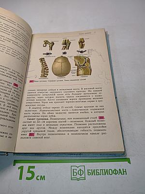 Человек. Анатомия. Физиология. Гигиена. Учебник для 8 класса средней школы