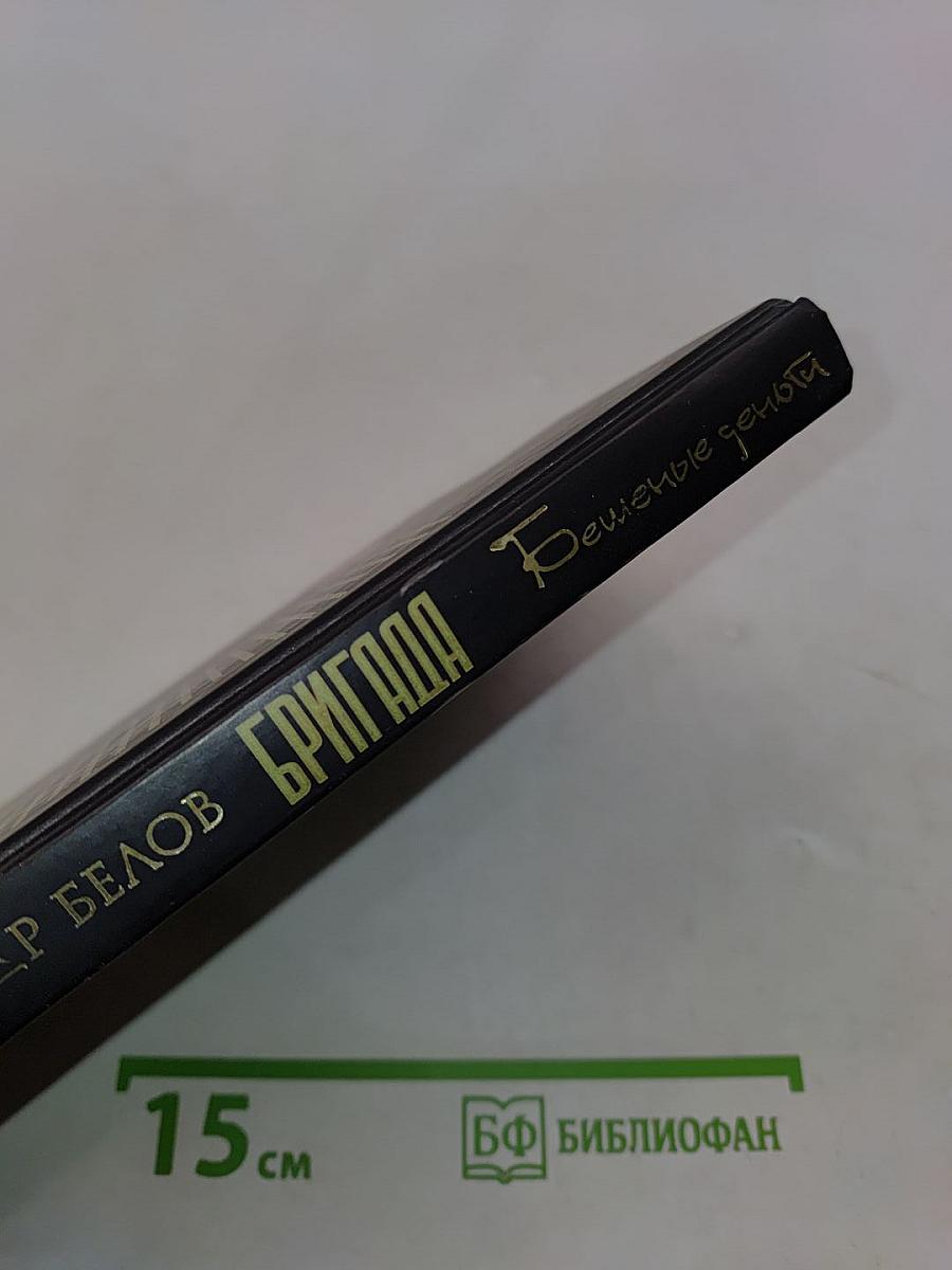 Бригада. Бешеные деньги. Книга 5