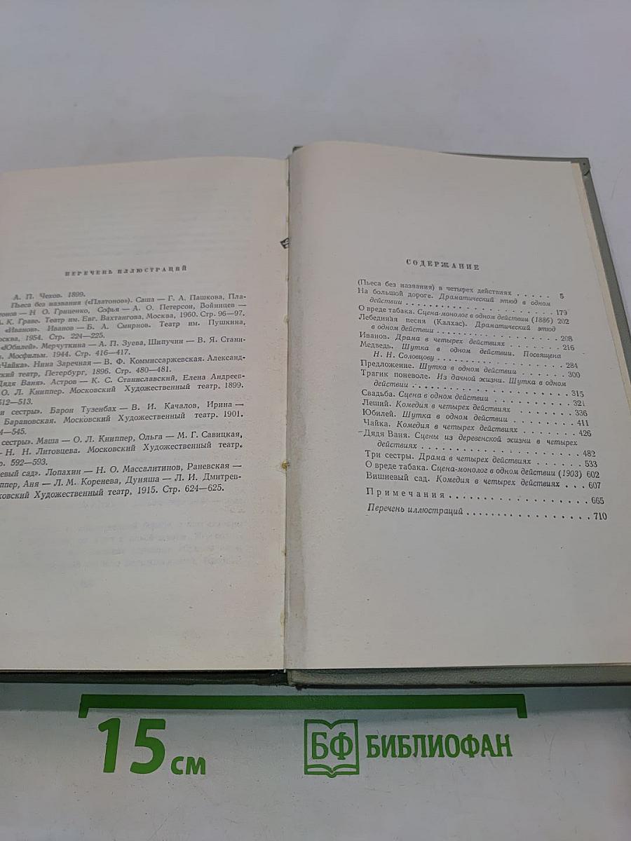 Собрание сочинений. Том десятый. Пьесы 1898-1904