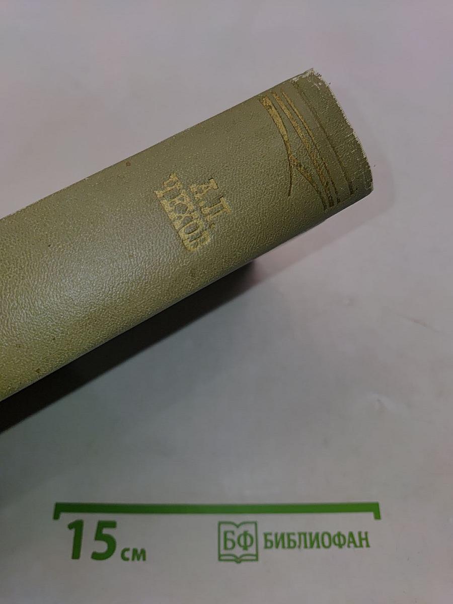 Собрание сочинений. Том десятый. Пьесы 1898-1904