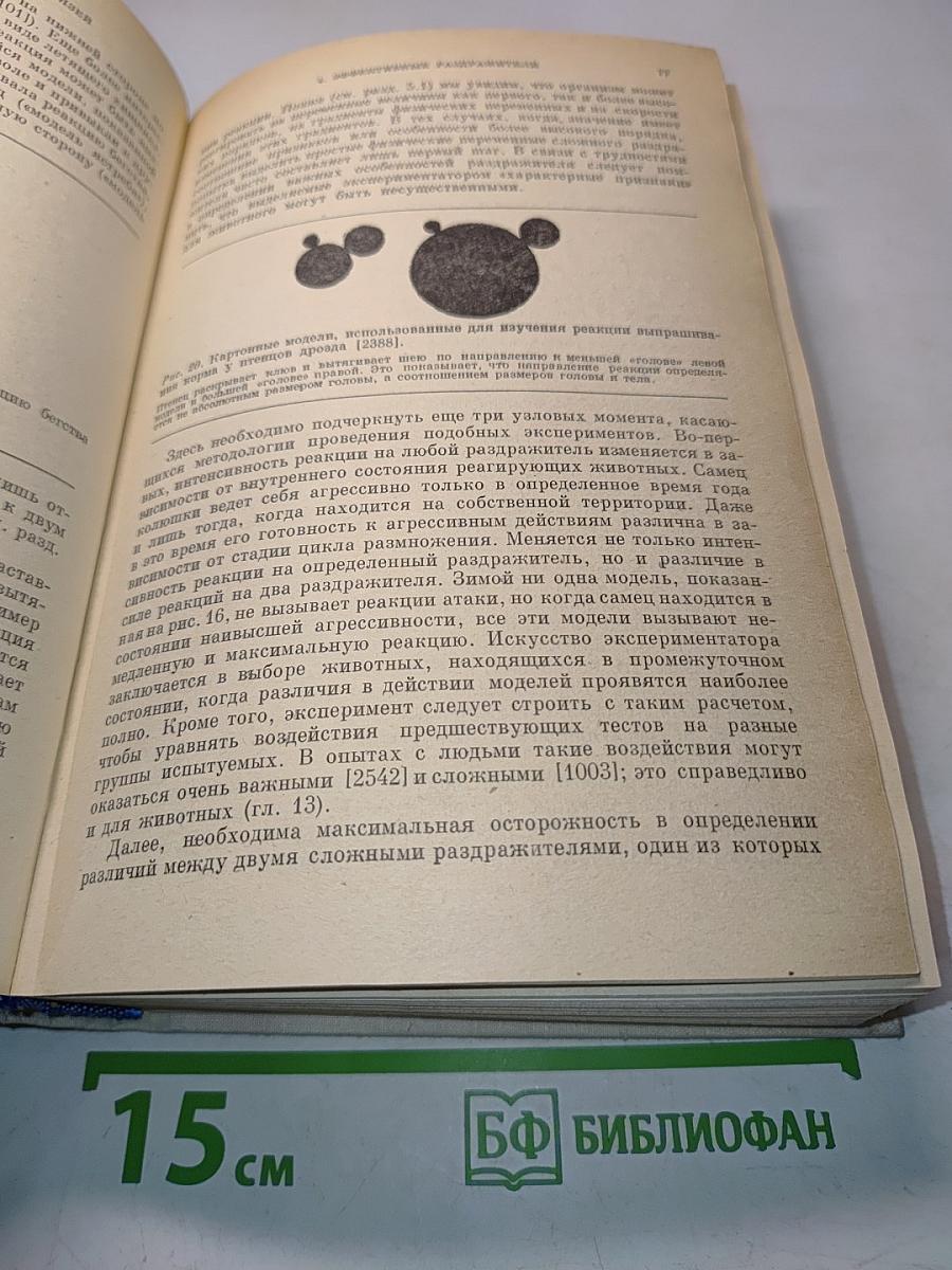 Поведение животных