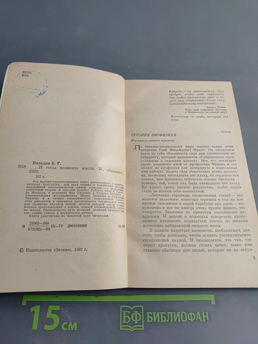 ...И тогда возникла мысль