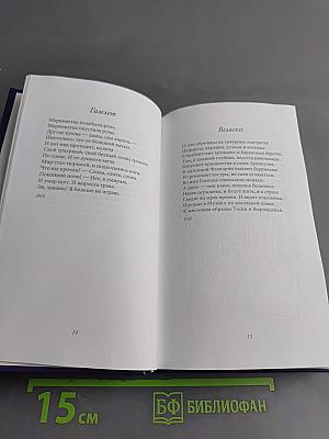 Великие поэты. Павел Антокольский