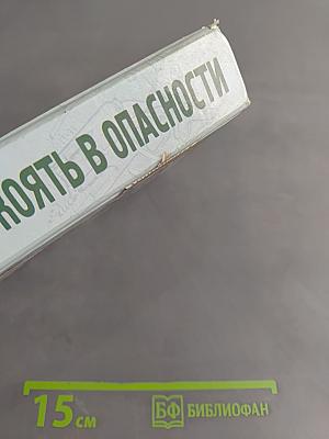 По рукоять в опасности