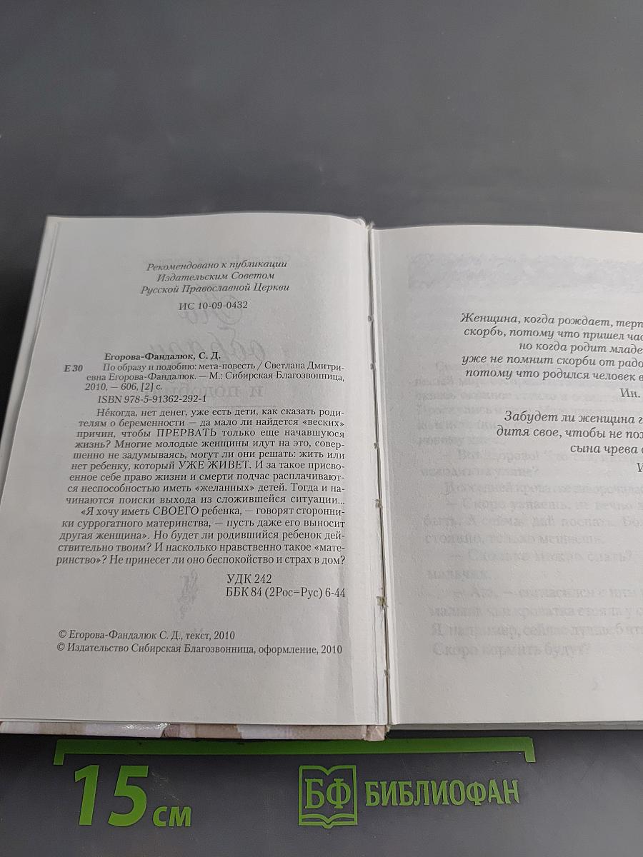 По образу и подобию