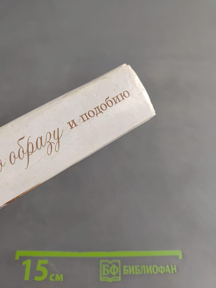 По образу и подобию