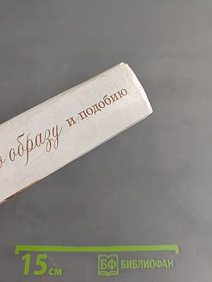 По образу и подобию