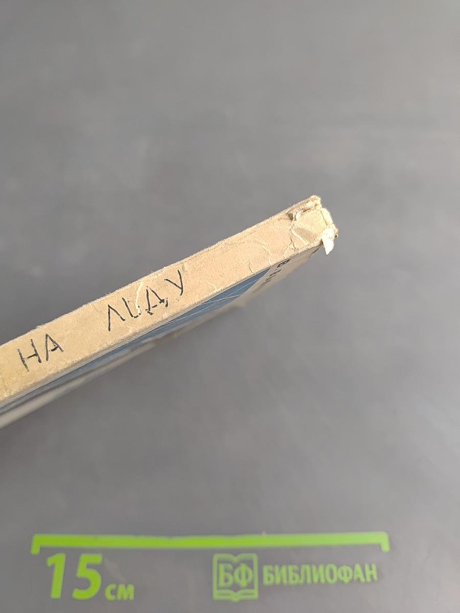Автографы на льду