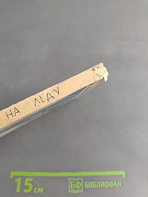 Автографы на льду