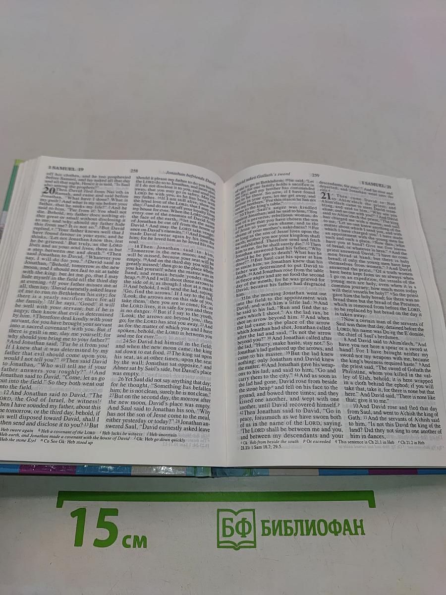 Holy Bible Revised Standard Version