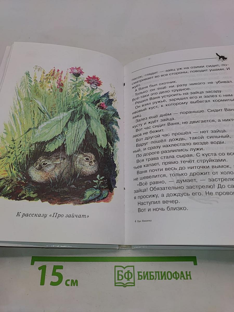 Про Никитку