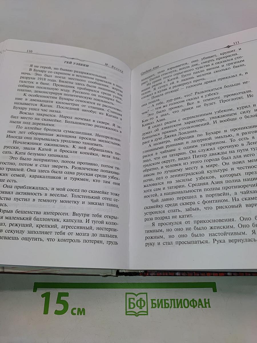 Странник и его страна
