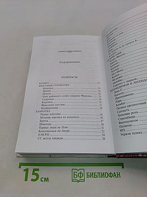 Странник и его страна