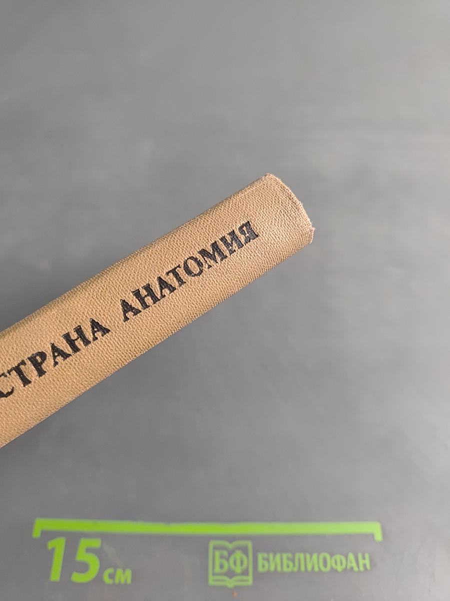 Страна анатомия