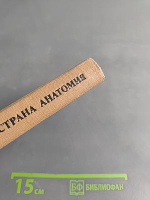 Страна анатомия