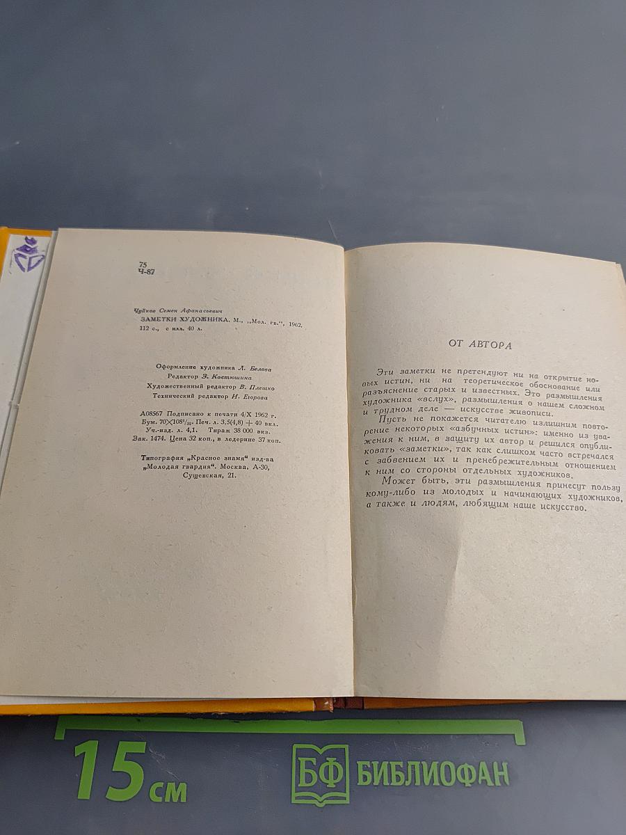 Заметки художника