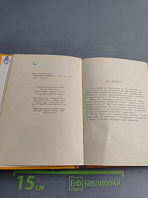 Заметки художника