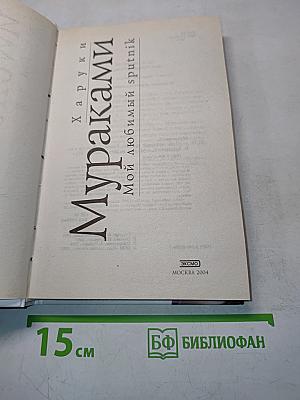 Мой любимый спутник
