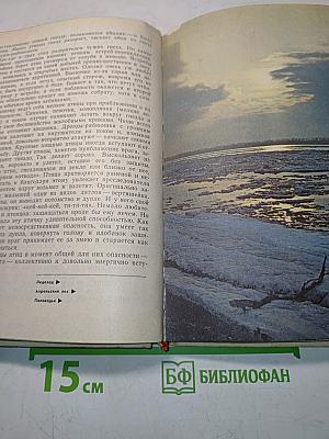Встречи с природой