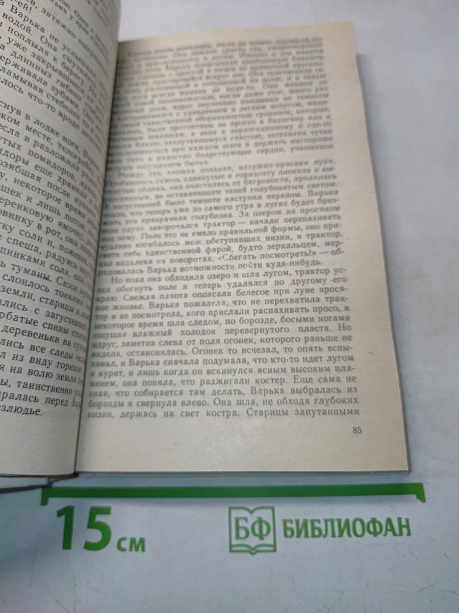 Увятские шлемоносцы