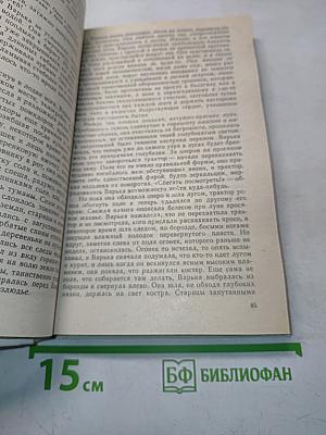 Увятские шлемоносцы