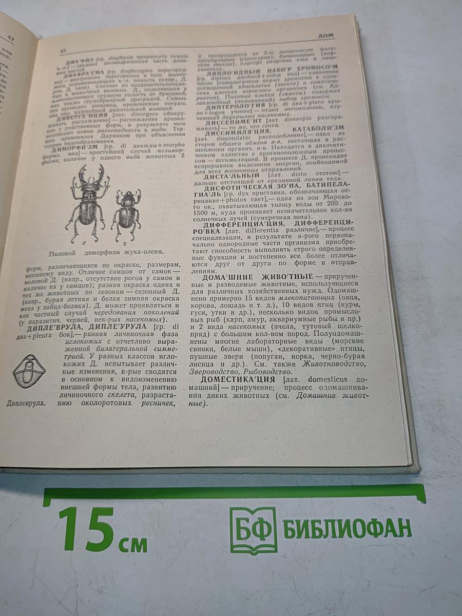Краткий зоологический словарь