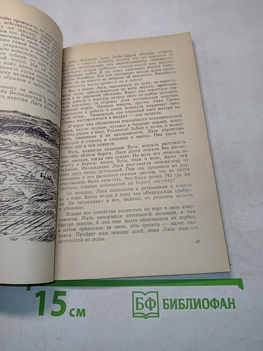 Лесные шорохи