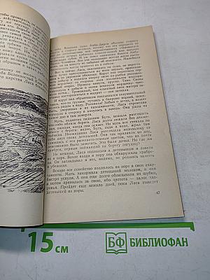 Лесные шорохи