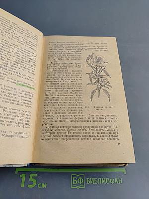 Цветоводство